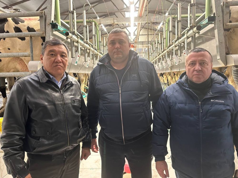 ������� ���������� ������� ��������� ��������� ���������� �������� � ������� �������� ����� �� 20%