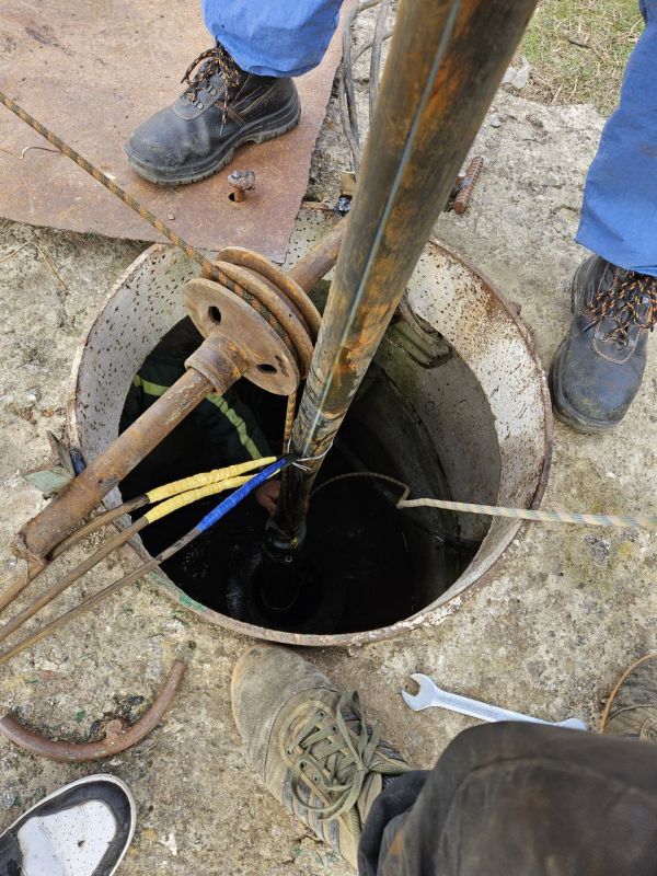 �������� - ����������������� ������ �� �������� ������������� � �������������