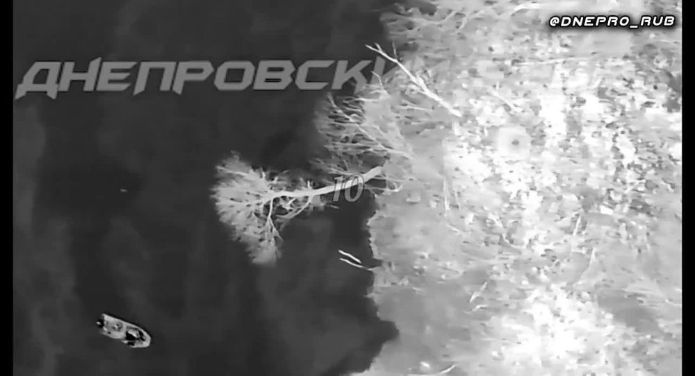 ����������� ����� "�����". ���������� �����������