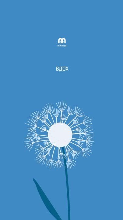 � ������ �����, �����������!