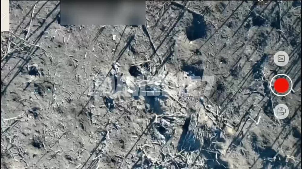 �������� ���������, ���������� �����������