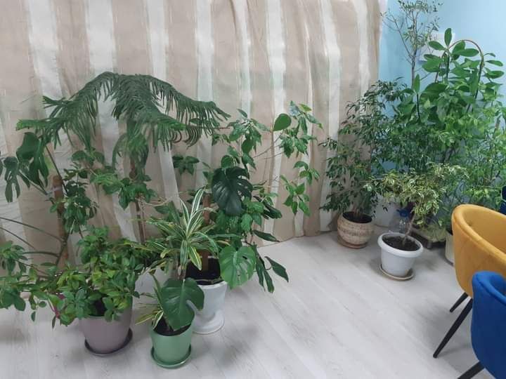 � �� ��� ������.... ������������ ����������: ������� ������� ���������� ������� ������� ������� ��� ���� ���������� �����: ���� � �������� ������, ������� ������� �� 7 �� 12 ���