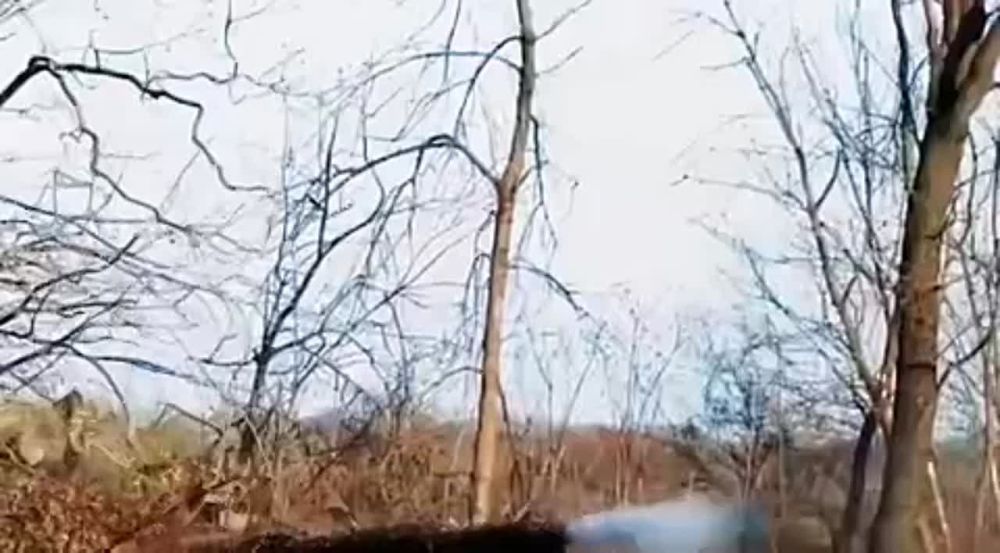 ������������� � �����!!!