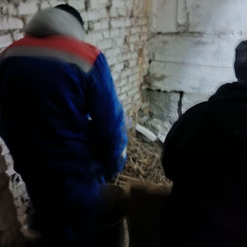 ��������� ������ �� ������ ����������� ��������� ��� � 25 � ��� � 27 � ������ ������������ ����������������� �������������� ������ �� ������: