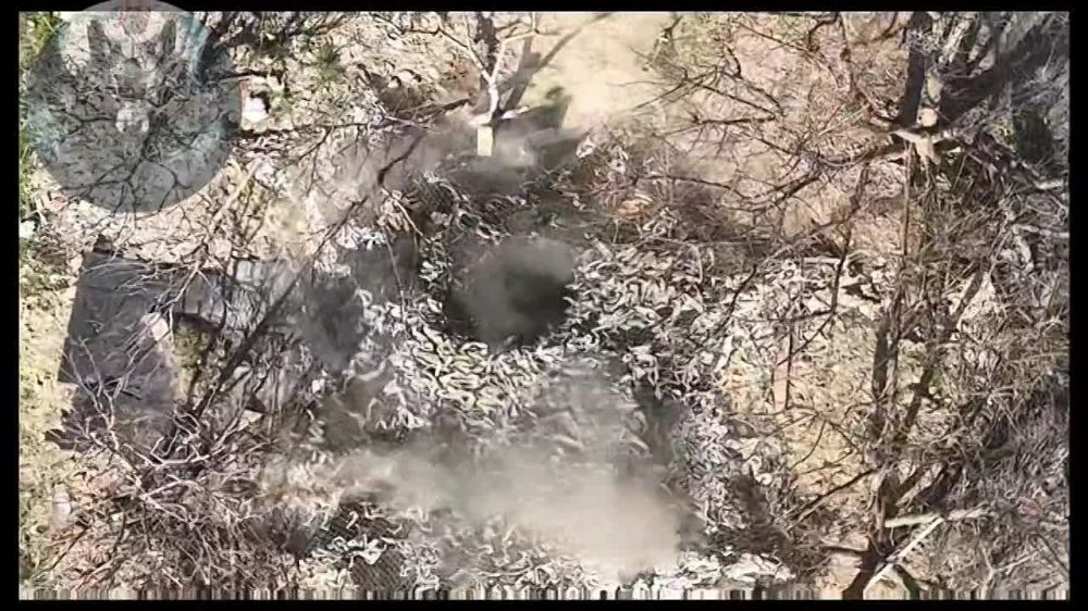 ���������� �����������. ��������� ���� �� ������ ���������� ������� ������ � ��������