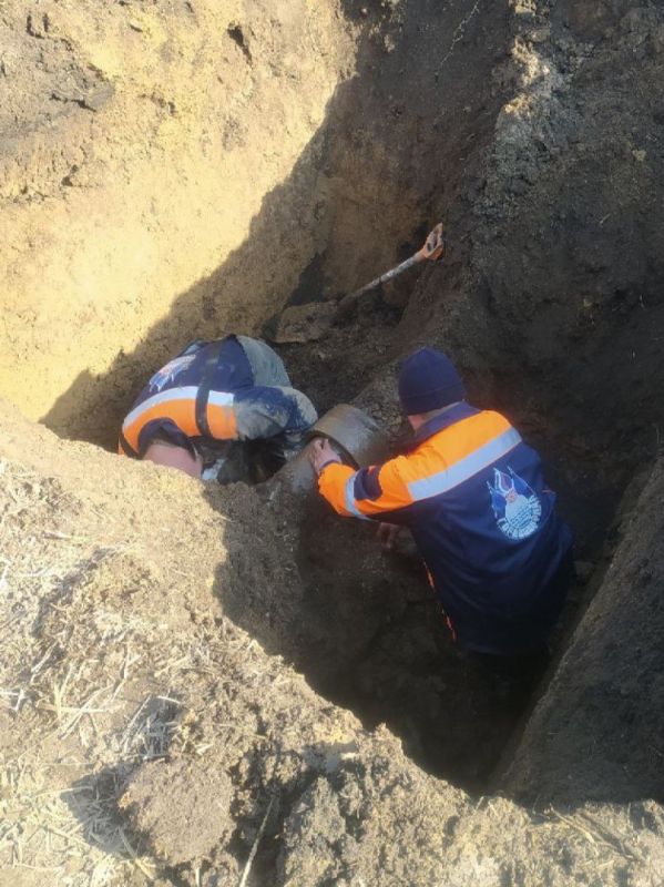 ����������� ��� �� "������������" �������� ��������� � �������� �� ���-������� ��������� �������