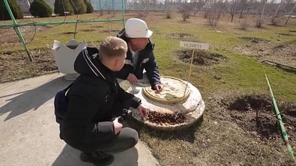 ������ �����. ��� ������ �������� ����������� ���