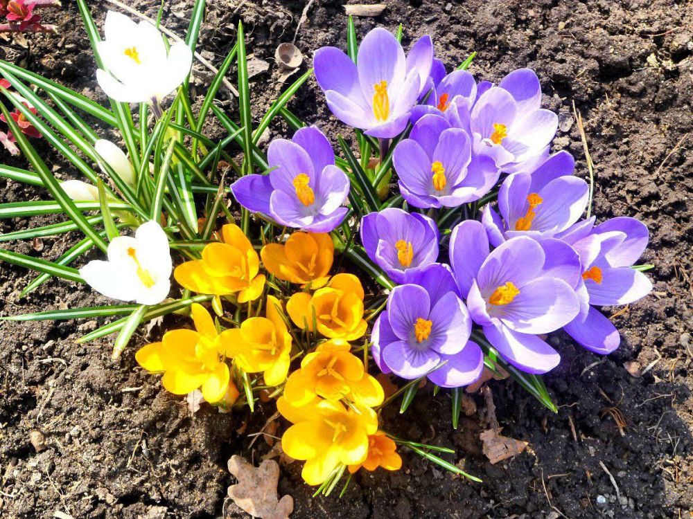 ����������� ����� � ������������ �������������