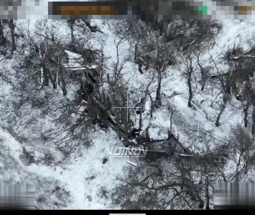 ��������� ���� 29 ����� ���������� ������� ����� ���