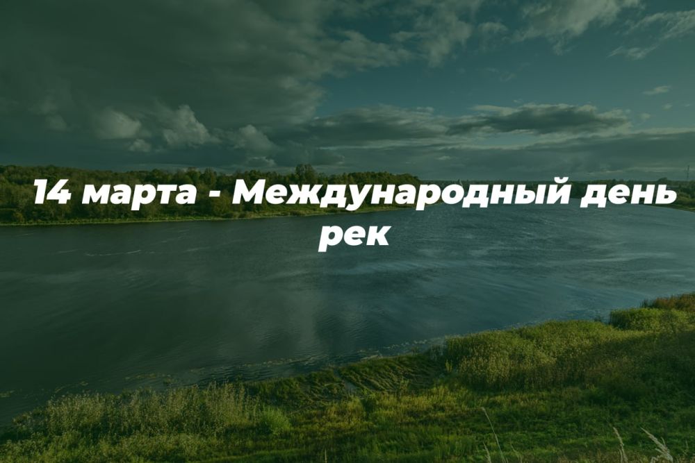 14 ����� � ������������� ���� ���