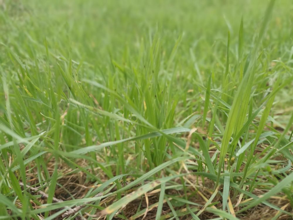 � ������ �����, �����������!