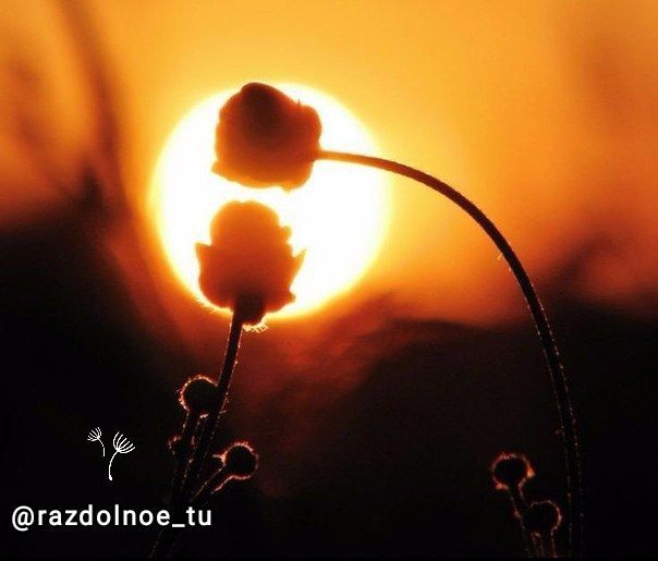 ����������!. ������� � ��� ����� �������, � ������� � ����� ��������, � ��� ������, ��� ������� �� �� ������! ��� �� �����...