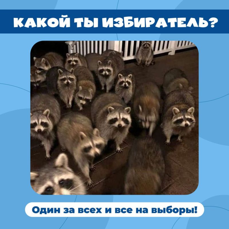 ���� ���������� ����� ��������