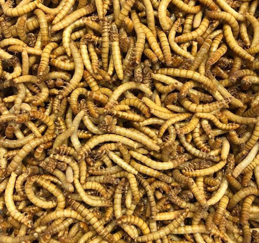 ������� 5 �������. �������� ����� ���������� �������