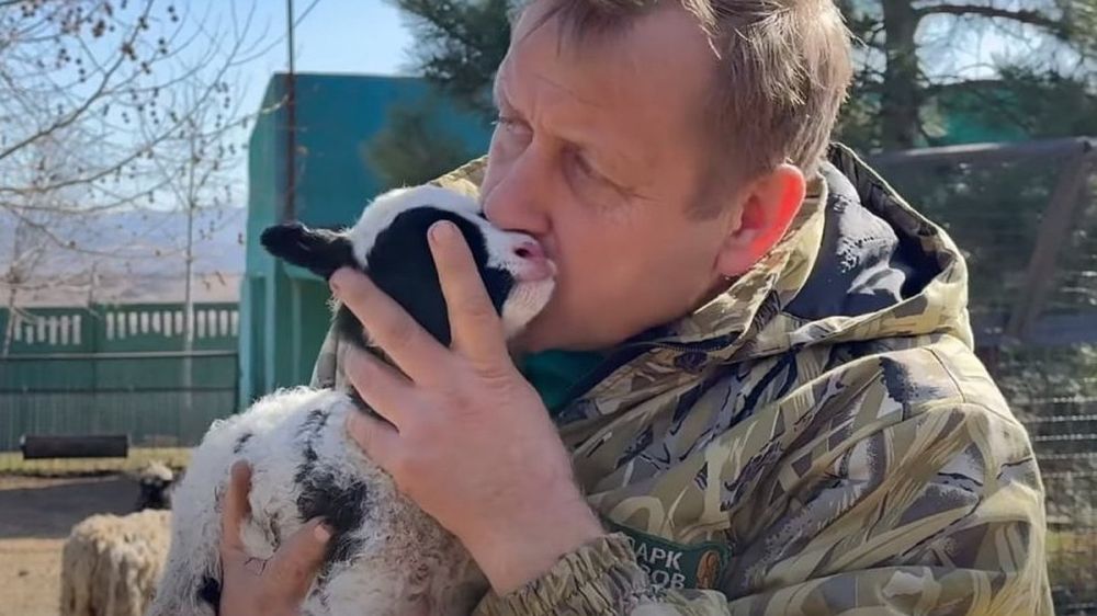 �����, ������ � ������: ����� �������� ������� � �������� �� ����������� ��������-����