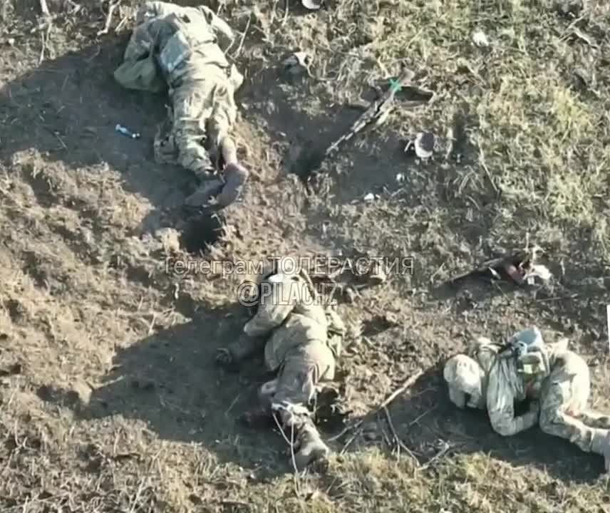 ��� ����-��������� ������ � ����� ������, ������� �������� ������������ ������ ���������!