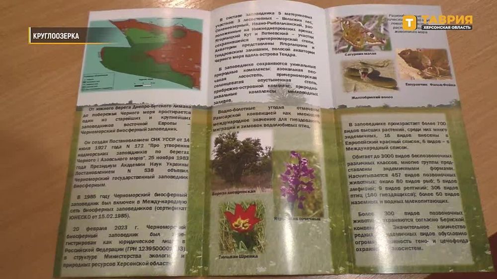 ���������� ������������� ����������� ����������� ������� ������ ��� �������� �������������� �����