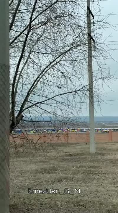 �������. �����, ���� ���� ��, ��� ��� ������� �� ����� ���������� �� �������� �����. ������������ ��-������!