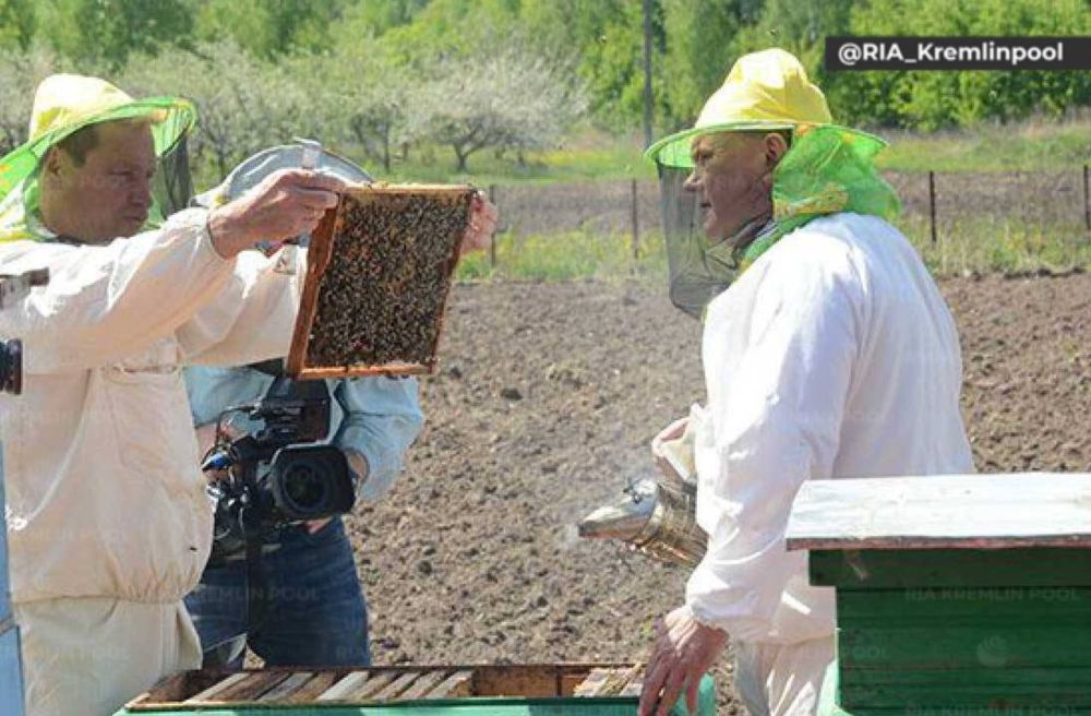 ������� � �������� �� ������ ���: