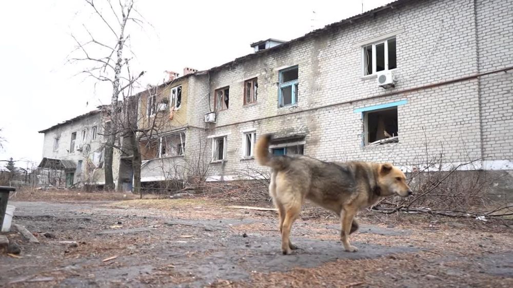 ������������ � ����� �������� � ������ �������������� �������� ��� �������� �� ������� ���������� ��