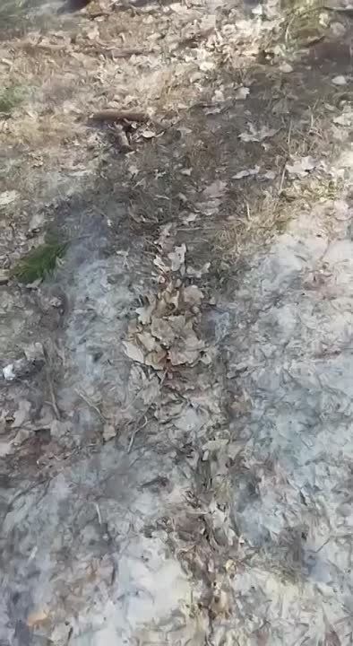 ����� �����: ���������� �������. ������ ���������� ���� "����-���"