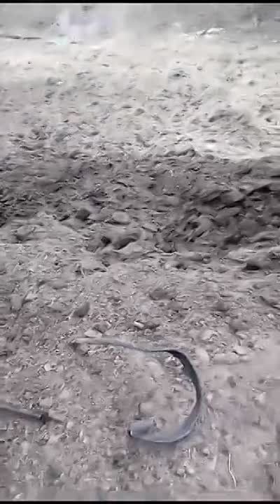 ������������ � ������������ ������ ���������� ��� FV103 Spartan � �������� ��� 131 ���������� ������������