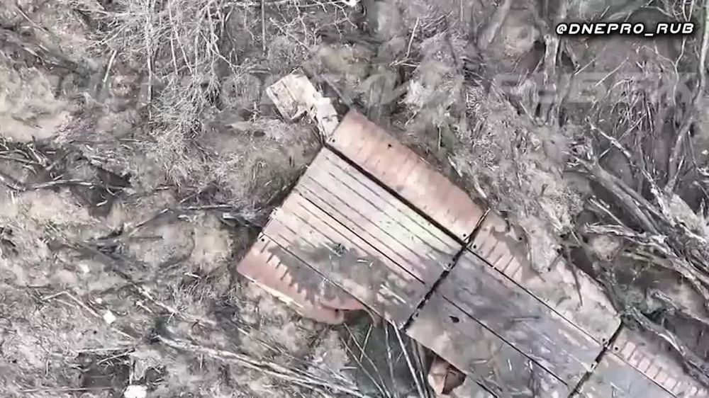 ����������� ����� "�����". ���������� �����������