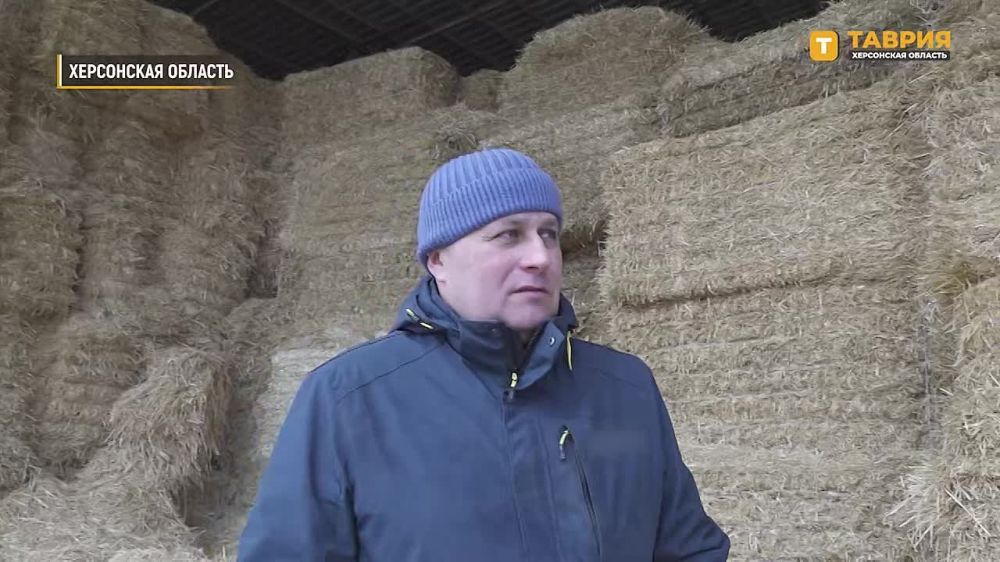 ����������� ���������� ������� ������������ ������� ���� ������ � ���������� ����