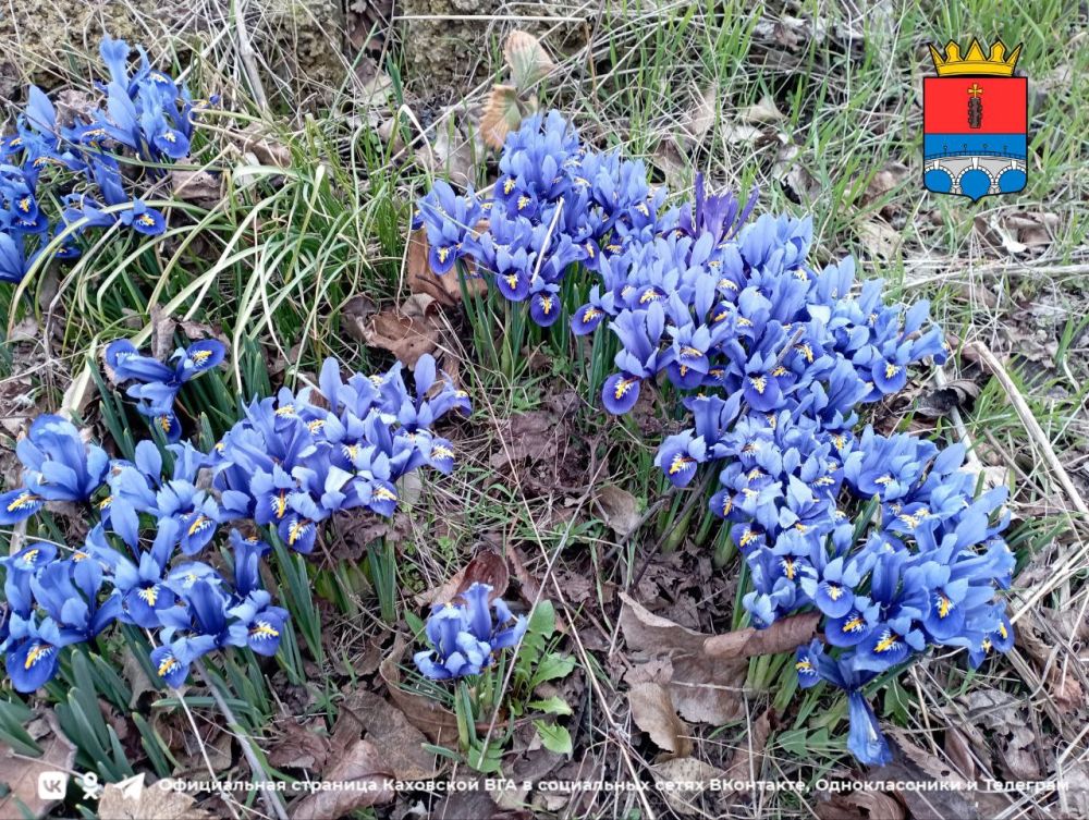 ������ ����, �������!. @VGA_Kakhovka