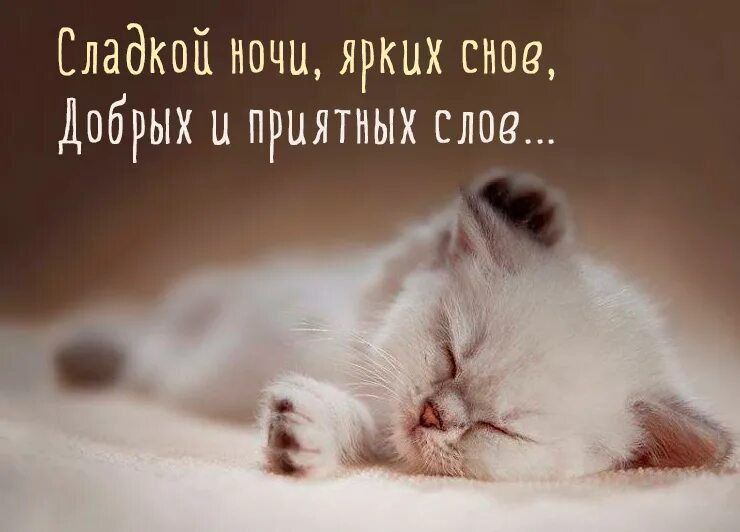 ������ ����. ������ � ������� �� ���������� ����� ��� ����� ������ �������� ������. ��� �������. ����������� �� +5 ����� �� +10 ���