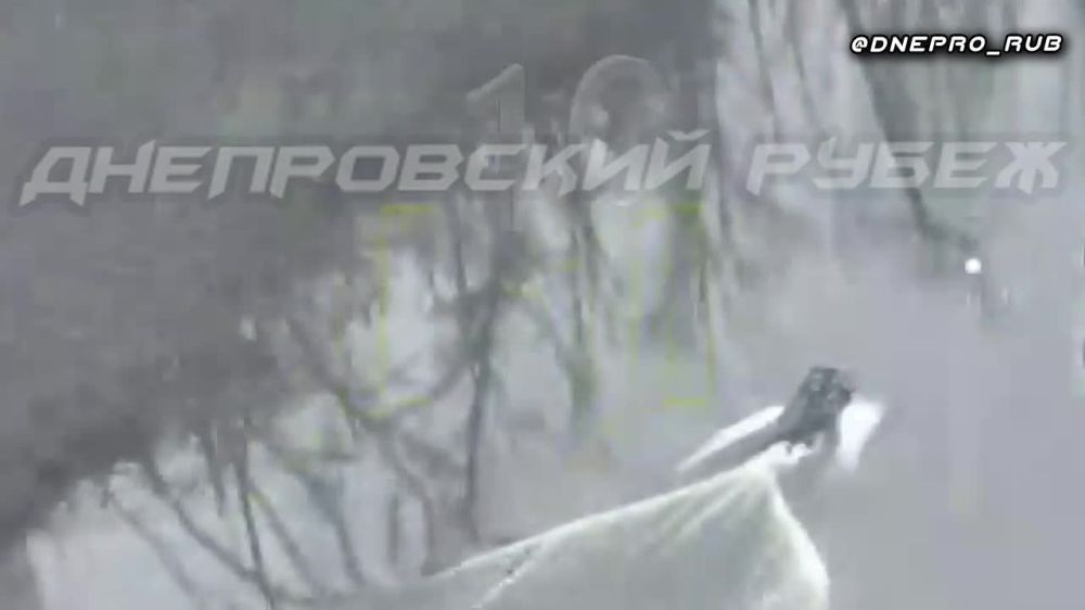 ����������� ����� "�����". ���������� �����������