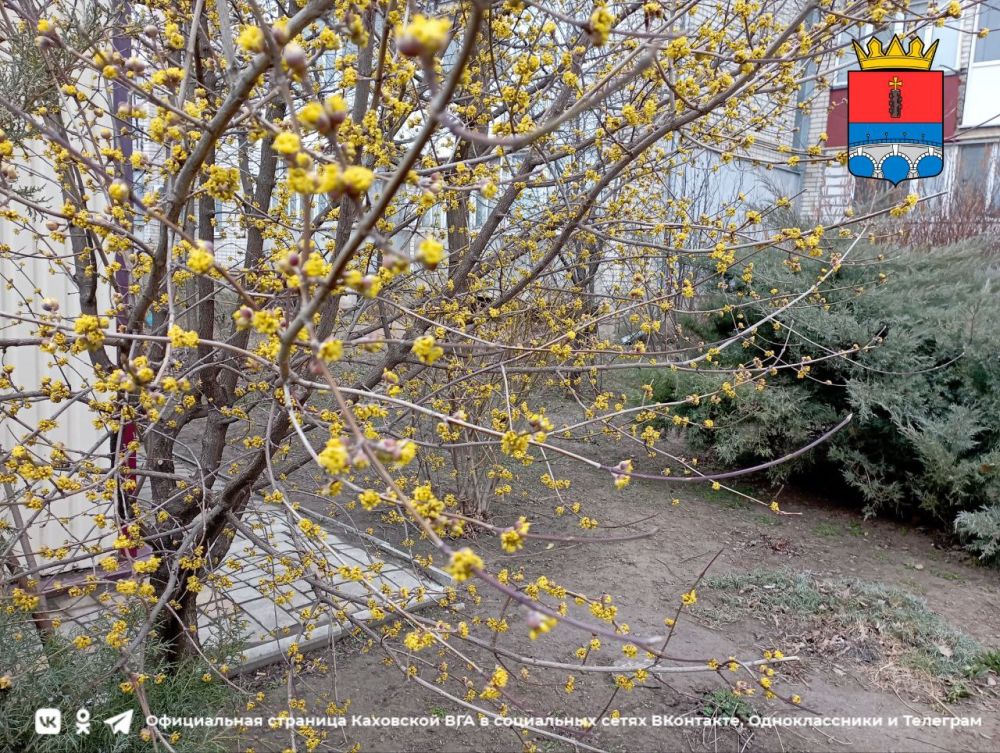 ������ ����, �������!. @VGA_Kakhovka