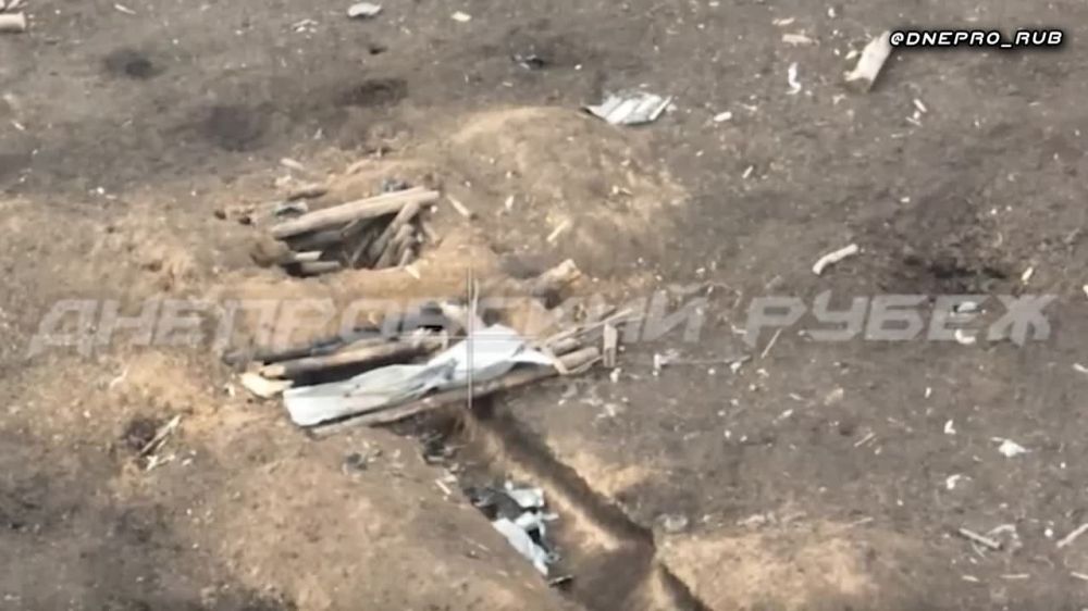 ����������� ����� "�����". ���������� �����������