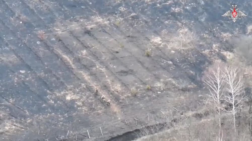 ����������� �����������-���������������� ������ ���, ���������� ���������� � ���� ������� ������������ �������