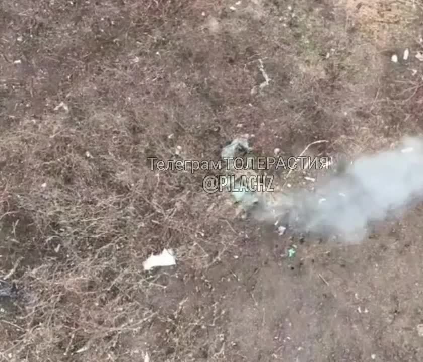 ����� � ����� ������� ������� ������ �����, ����� ��� �� �������