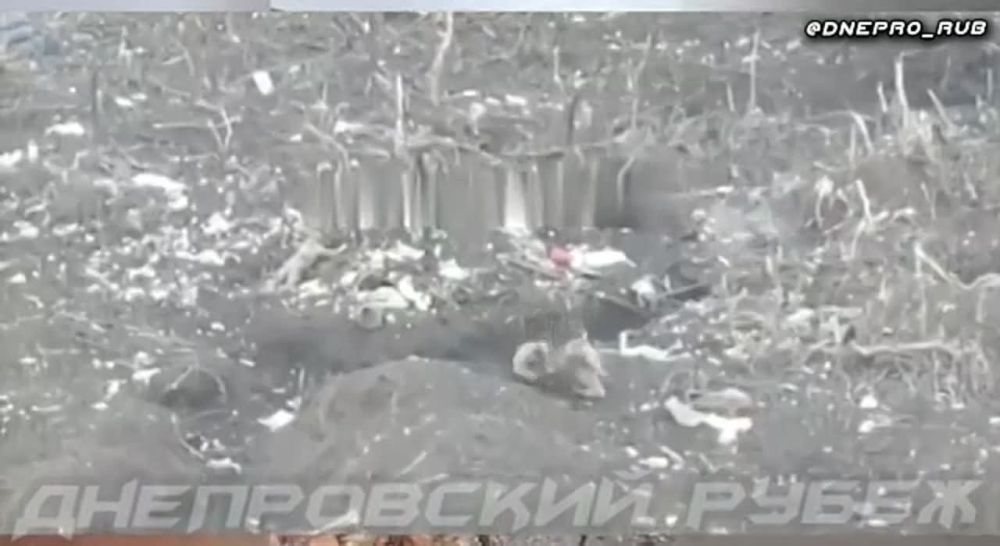 ����������� ����� "�����". ����������� �����������