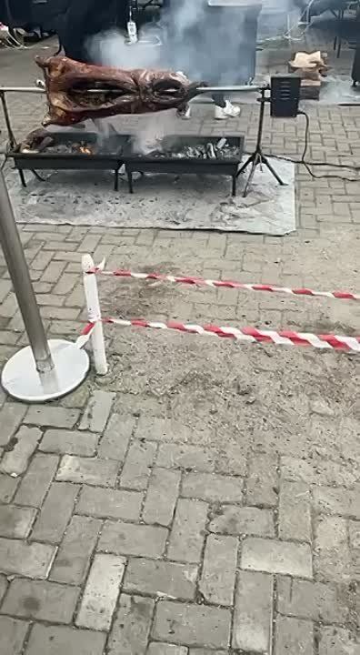 ������ ���� ������� �� ���������� �������� ����� �������