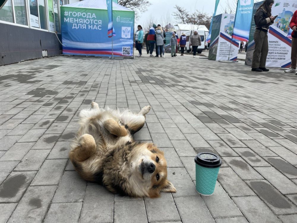 ����-����� ����� ������������ � ��������� ��������� �������� �������!