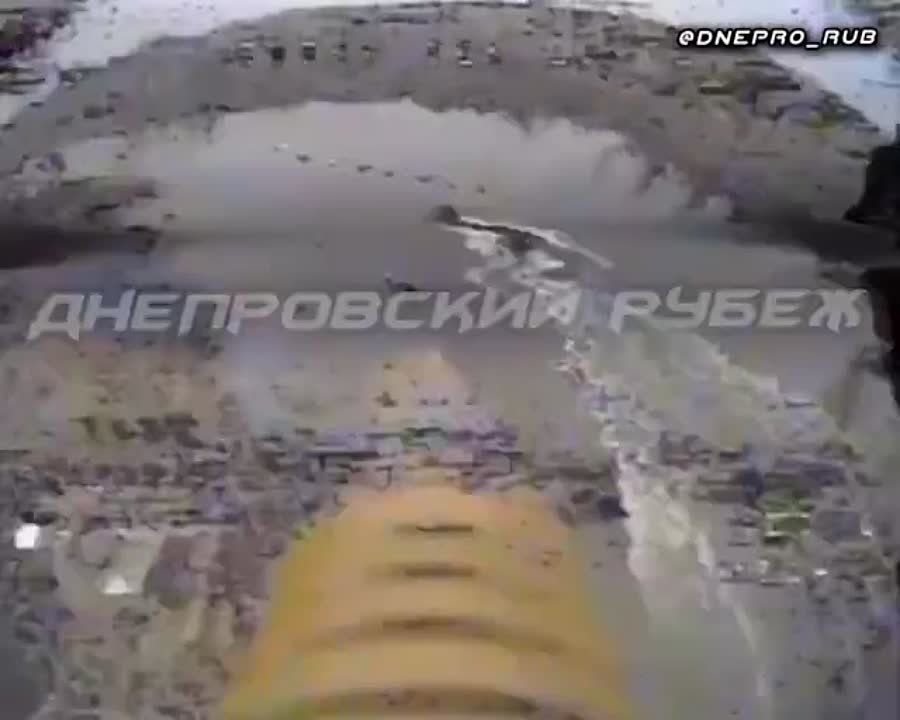 ����������� ����� "�����". ���������� �����������