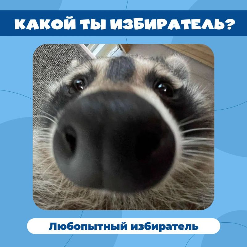 ���� ���������� � � ����������