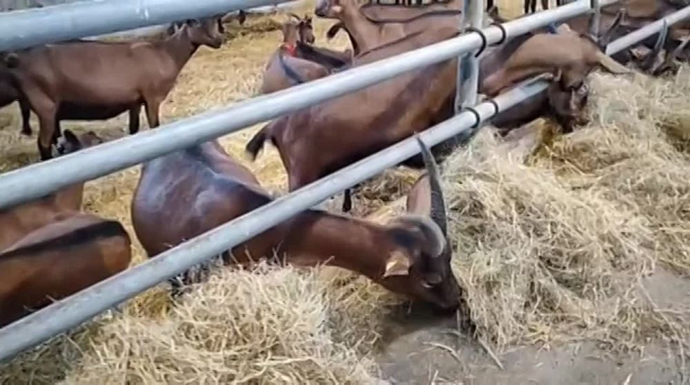 ������ � ���������� ������������� ������������ �� ������� ���������� ������ ������� ����� ����� �� ����������� ��� ����������� � ����������