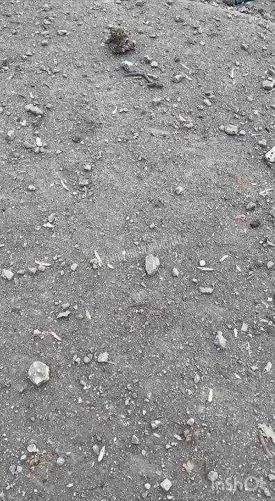 ������ ��������� �������� � 5 ������������, � ����� �� ����� �������, ��� ����� "������ �����"