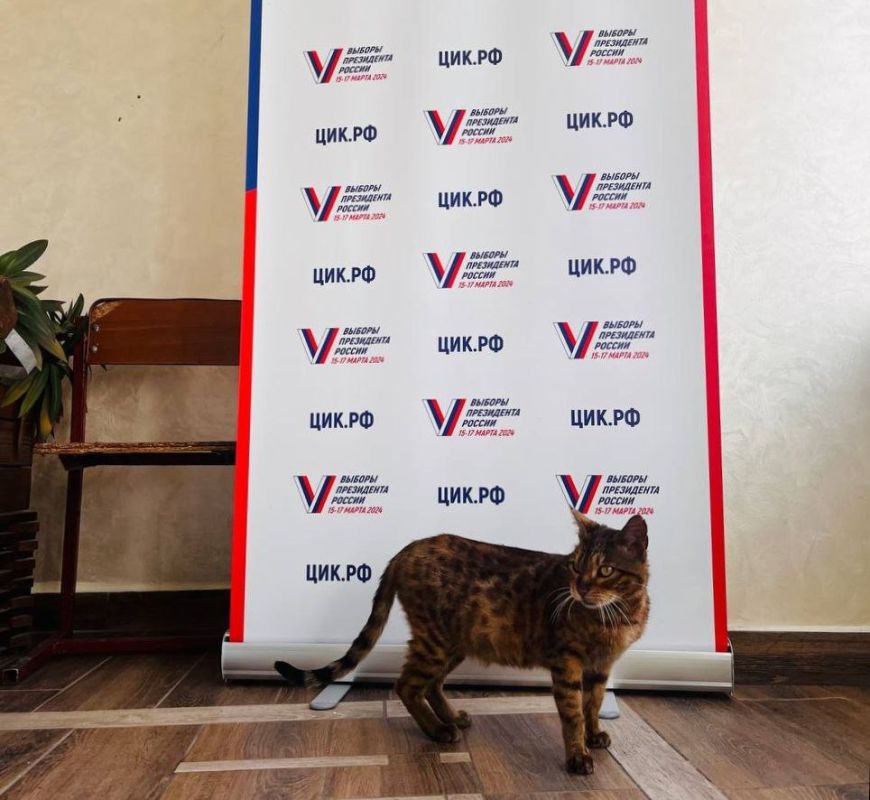 �� ���������� ��� ���� ������������� ������� �������� ����� �����