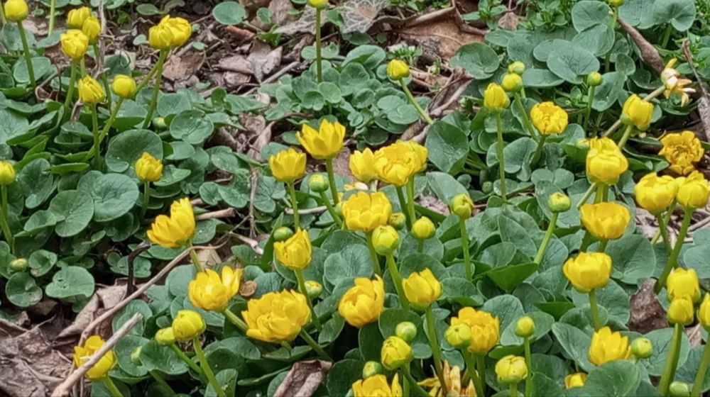 ������ �������� ������. ���������� ��������, ��������� ����� ��� ���������� �������� � ����������� ������ ������