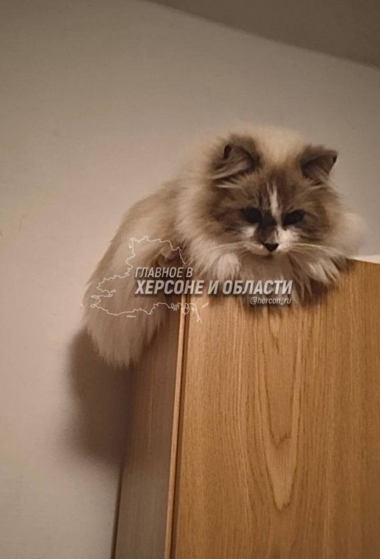 ���� � ������������ �������� �� ���������� �������� � ������� � �������