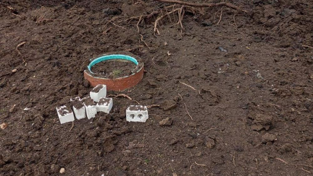 ������� �������� ������ �� ���������� �������� ���� � ���������� �������