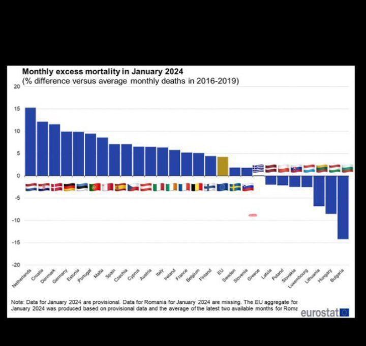 ���������� ���������� � ������ �� ������ 2024 �. ������ � ����� ������� ������� ���������� ���������� ����� �������� �������� ����������������