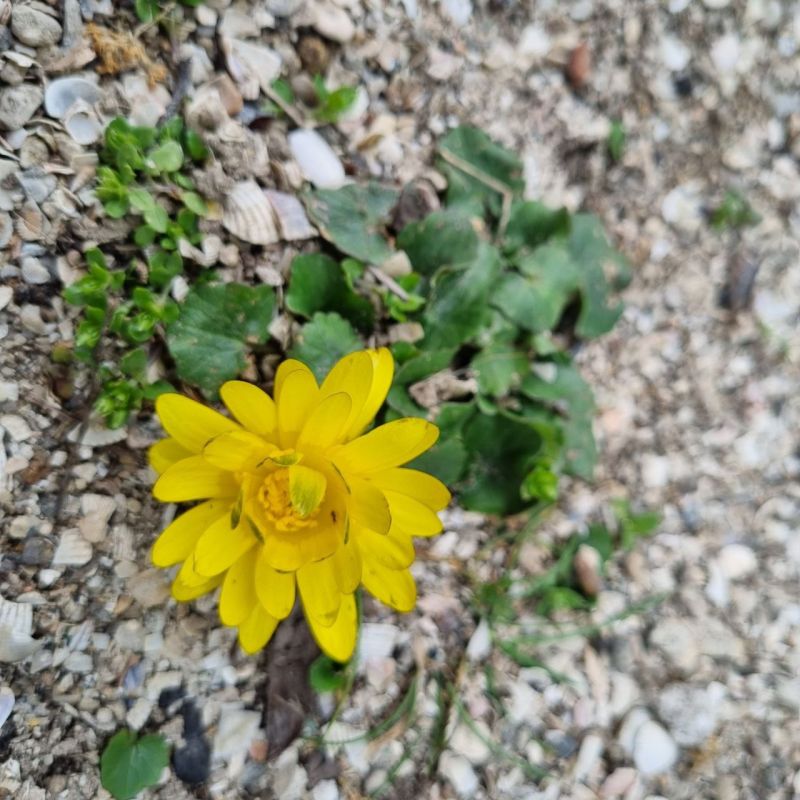 � �������� ������� ����� ��� ��� �� ���� ���������������