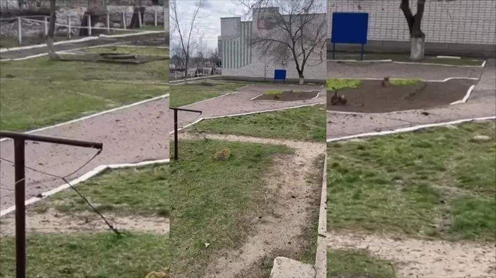 �������� ������: ���������� ���������� ���������� ������������ ������ ��������� ������ ����������