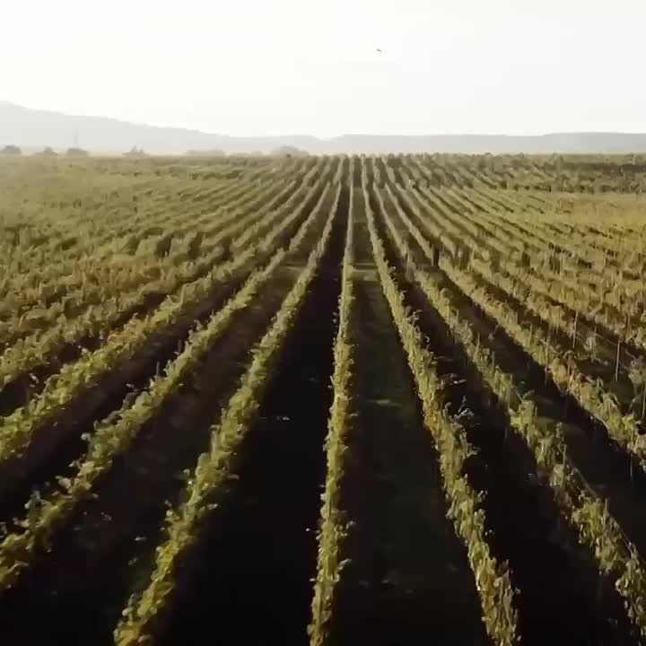 ��������� �����: � ���� ������������� ����� � ����������� � �������!